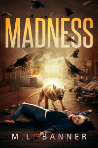 Madness Book Cover