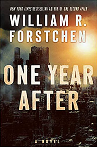 One Year After Book Cover