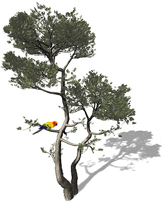 Welcome to Sunny's Perch!