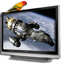 Our Favorite Movies, TV Shows, and Web Sites!