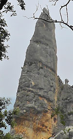 Aguglia