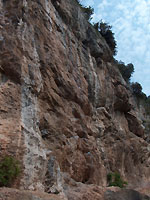 Arco